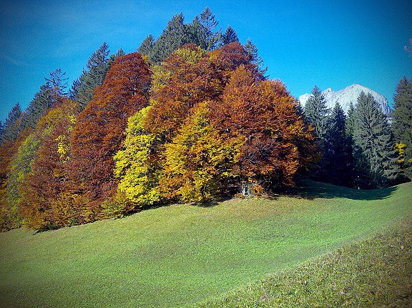 glarus_autumn copy.jpg