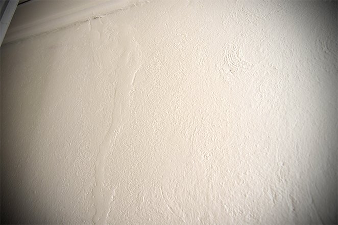 DSC_6346.jpg